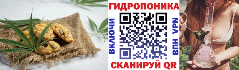 MEGA рабочий сайт  закладка  Новосиль  Cannafood марихуана 