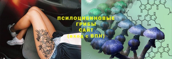 эйфоретик Алексеевка