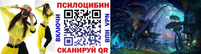 где можно купить   Новосиль  Псилоцибиновые грибы Magic Shrooms 