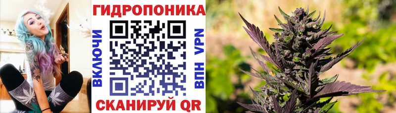 купить наркоту Новосиль Бошки Шишки THC 21%